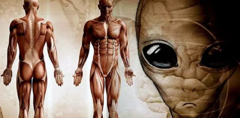 SERPO Projesi (Project SERPO) – Zeta Reticuli’den Gelen Dünya Dışı Varlıklarla Yapılan Değişim Programı